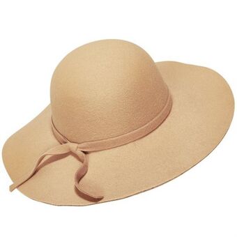 Mel hat