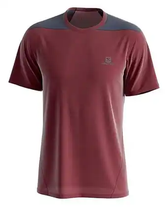 Salomon men's outline t-shirt