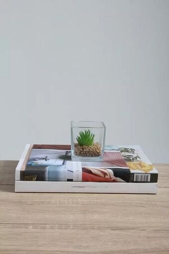 Faux potted succulent