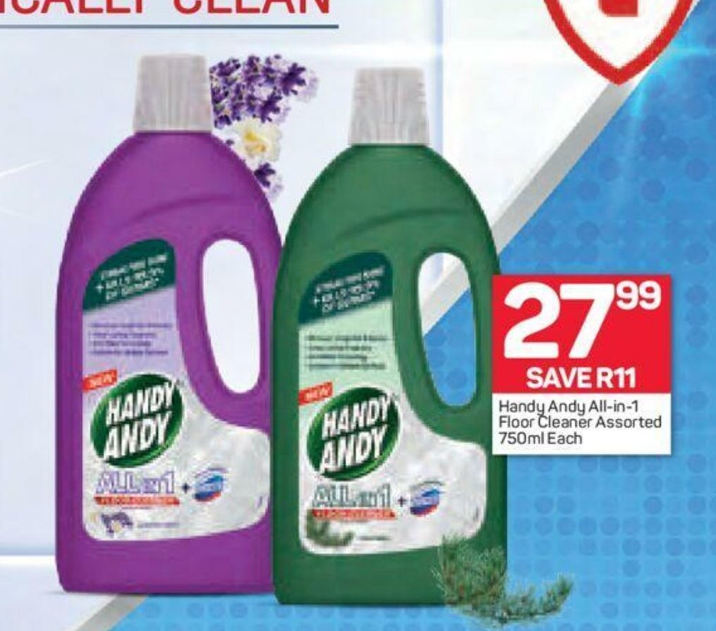 Handy Andy Allin1 Floor Cleaner Assorted 750ml each offer at Pick n Pay