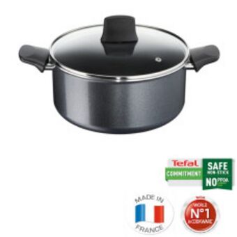 Home etc Tefal elegance stew pot 24cm offer