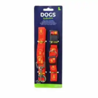 Eco dog collar with leash orange