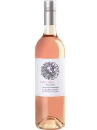 Waterkloof circumstance cape coral rose 2022