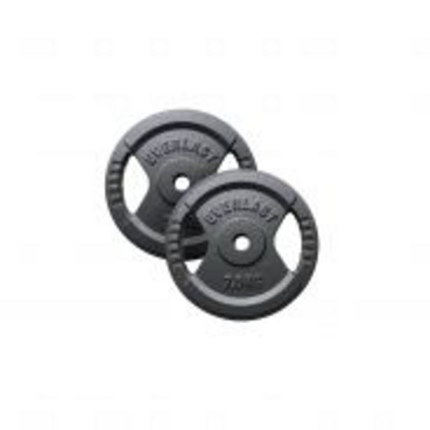 Everlast discount dumbbell plates