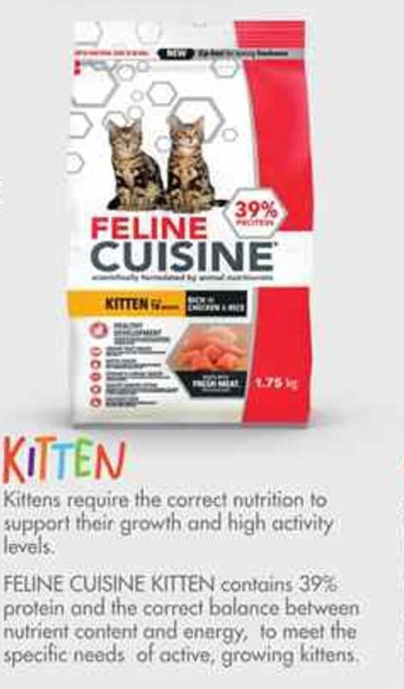 Feline cuisine outlet