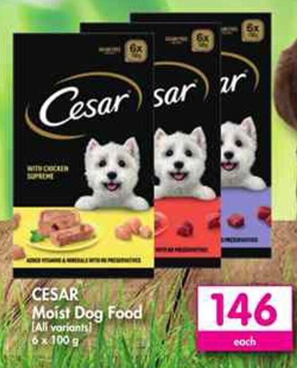 Cesar Moist Dog Food offer at Makro