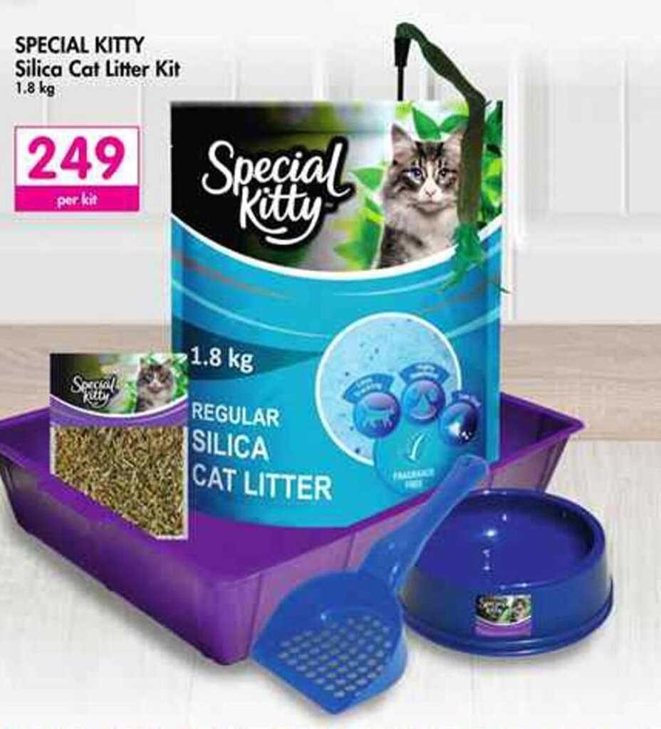Special Kitty Silica Cat Litter Kit offer at Makro