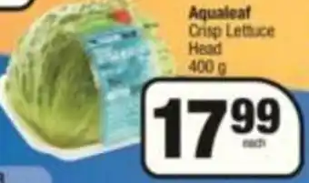 Aqualeaf Crisp Lettuce Head 400g