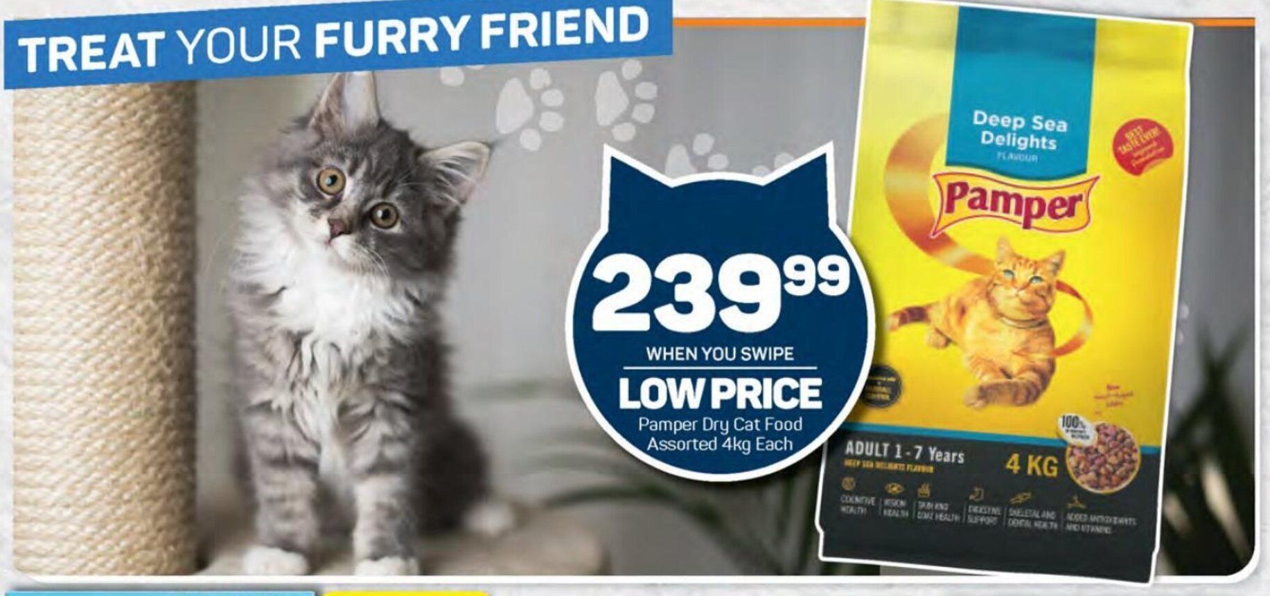 Pamper Dry Cat Food Assorted 4kg each offer at Pick n Pay