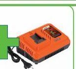 Charger 4amp 20-40v