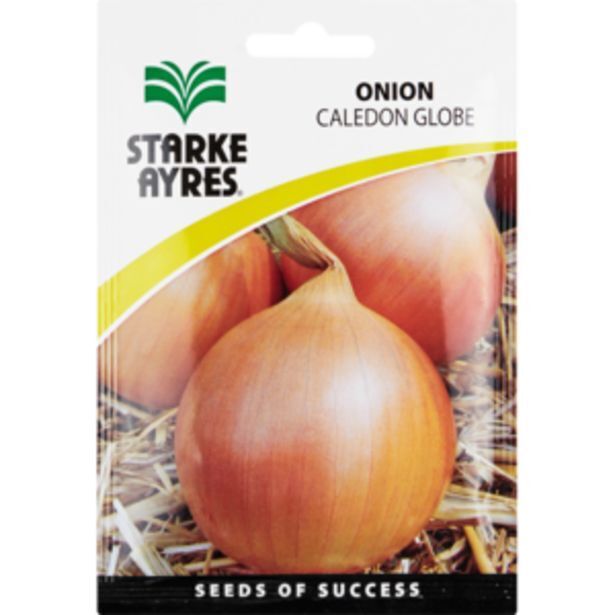 Starke ayres onion variety vegetable seeds offer at Shoprite