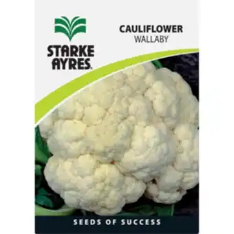 Shoprite Starke ayres cauliflower variety vegetable seeds offer