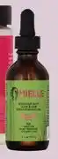 Dis-Chem Mielle rosemary mint scalp & hair strengthening oil-59ml offer