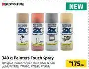 Builders Warehouse Rust oleum painters touch spray-340g each offer
