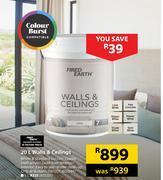 Builders Warehouse Fired earth walls & ceilings-20l offer