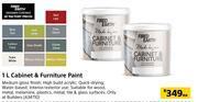 Builders Warehouse Fired earth cabinet & furniture paint-1l each offer
