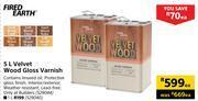 Builders Warehouse Fired earth velvet wood gloss varnish-5l each offer