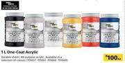 Builders Warehouse Fired earth one coat acrylic-1l each offer