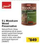 Builders Warehouse Plascon woodcare wood preservative-5l offer