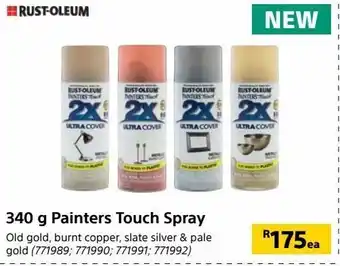 Builders Warehouse 340 g painters touch spray offer