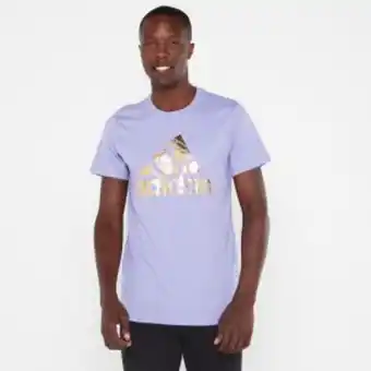 Adidas foil bos g tee purple