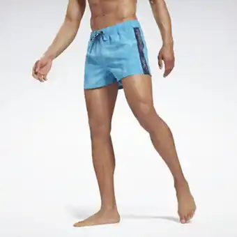 Darrick swim shorts