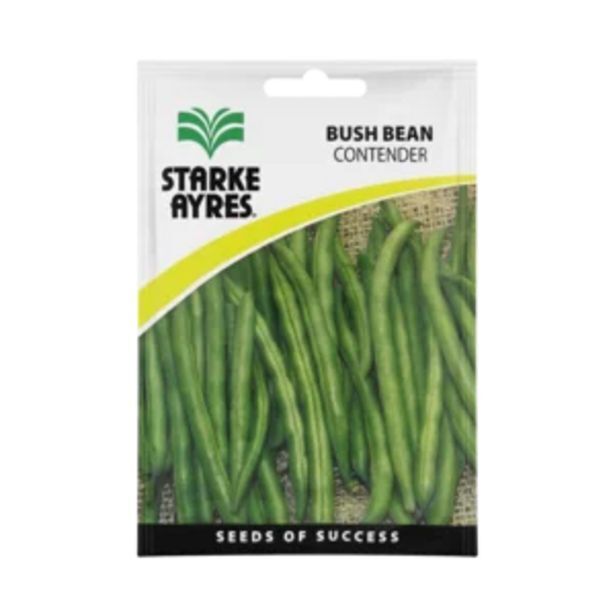 Starke ayres contender bush bean seeds 30g offer at Shoprite