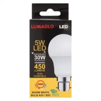 Lumaglo warm white a55/b22 led globe 5w