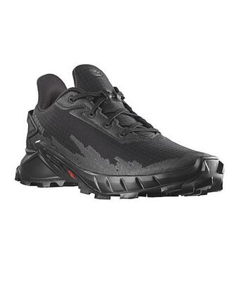 Cape Union Mart Salomon men's alphacross 4 shoes offer