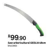 Leroy Merlin Geolia Saw Arboricultural 48cm offer