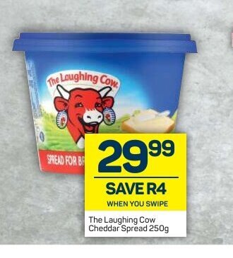 Pick n Pay The Laughing Cow Cheddar Spread 250g offer