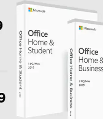 Microsoft Office Home & Student 2019 (79G-05062)