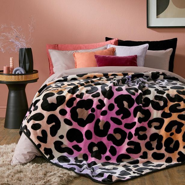 Angel 1ply 2kg animal blanket offer at HomeChoice