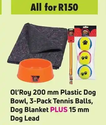 Game Ol'Roy 200mm Plastic Dog Bowl, 3-Pack Tennis Balls, Dog Blanket PLUS 15 mm Dog Lead offer