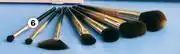 Dis-Chem Basics beauty makeup brush set 7 piece offer