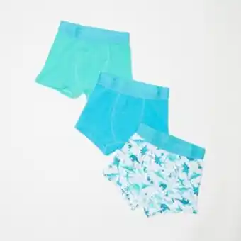 Pick n pay yb trunks multi