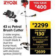 Builders Warehouse Ryobi 43cc petrol brush cutter offer