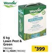Builders Warehouse Wonder 6kg lawn pest & green offer