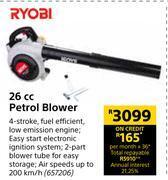 Builders Warehouse Ryobi 26cc petrol blower offer
