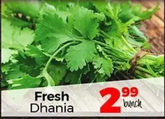 Take 'n Pay Fresh Dhania offer