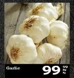 Garlic