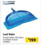Blue chem leaf rake