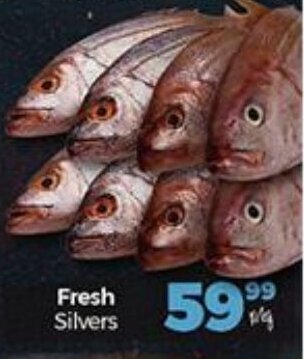 Fresh Silvers