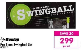 Dunlop Pro Slam Swingball Set