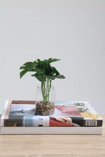 Faux potted plant