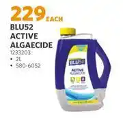 Blu 52 active algaecide (1233203)-2l each