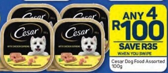 Pick n Pay Cesar Dog Food Assorted 100g offer
