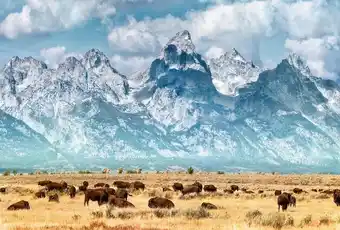 Trafalgar 9 day usa national park tour from jackson to las vegas offer