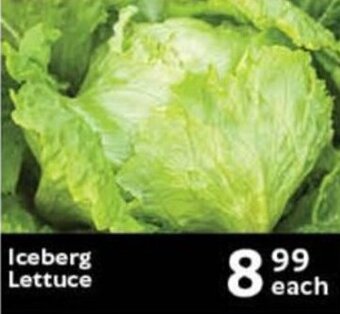 Oxford Freshmarket Iceberg Lettuce offer