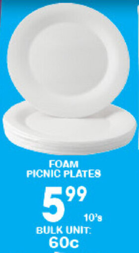 Foam Picnic Plates 10's